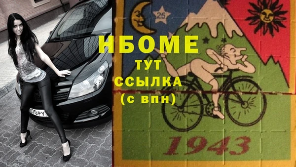 эйфоретик Пересвет